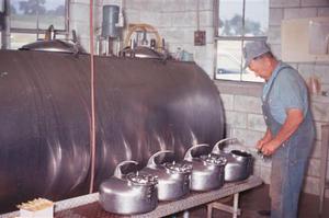 Norman working in the milking parlor